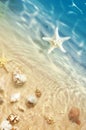 Starfish and seashell on the summer beach in sea water. Summer background. Summer time. Royalty Free Stock Photo