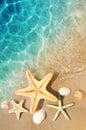 Starfish and seashell on the summer beach in sea water. Summer background. Royalty Free Stock Photo