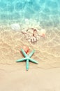 Starfish and seashell on the summer beach in sea water. Summer background. Summer time. Royalty Free Stock Photo