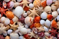 Starfish and seashell on the summer beach in sea water. Colorfull background Royalty Free Stock Photo