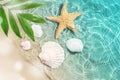 Starfish and seashell on the summer beach in sea water. Royalty Free Stock Photo