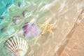 Starfish and seashell on the summer beach in sea water. Royalty Free Stock Photo