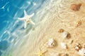 Starfish and seashell on the summer beach in sea water. Summer background. Summer time. Royalty Free Stock Photo