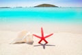 Starfish and seashell in tropical beach Royalty Free Stock Photo