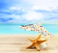 Starfish and seashell under an umbrella on a sandy beach Royalty Free Stock Photo