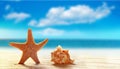Starfish and seashell on white sand beach with ocean Royalty Free Stock Photo