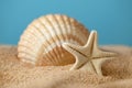 Starfish and seashells on beach Royalty Free Stock Photo