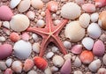 a starfish laying on a mixture of shells Royalty Free Stock Photo