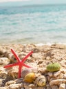 Starfish seashells beach summer background Royalty Free Stock Photo