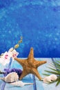 Starfish seashells with hyacinth flower and white orchid Royalty Free Stock Photo