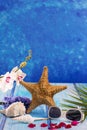 Starfish seashells with hyacinth flower and white orchid Royalty Free Stock Photo