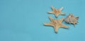 Starfish and Seashells, Maritime nautical decoration over Blue Background with copy space. Banner with Copy Space