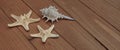 Starfish and Seashells, Maritime nautical decoration over brown wooden Background with copy space. Banner with Copy