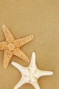 Starfish Seashells on Sand Royalty Free Stock Photo