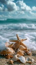 Starfish and Seashells on Sandy Beach Royalty Free Stock Photo