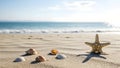 A starfish and seashells on a sandy beach with the ocean in the background Royalty Free Stock Photo