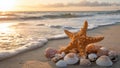 Starfish and Seashells on Sandy Beach at Sunset Royalty Free Stock Photo