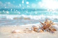 Starfish and Seashells on a Sandy Beach Royalty Free Stock Photo