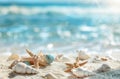 Starfish and Seashells on a Sandy Beach Royalty Free Stock Photo