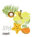 Starfish, seashells, sea stones and palm leaves . Baner for spa, hotel, card