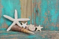 Starfish and seashells on shabby wooden background in turquoise Royalty Free Stock Photo