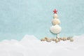 Starfish and seashells in the shape of Christmas tree Royalty Free Stock Photo