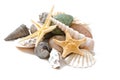 Starfish, seashells and stones Royalty Free Stock Photo