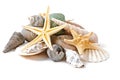 Starfish, seashells and stones