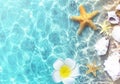 Starfish and seashells on the summer beach in sea water. Summer background. Summer time Royalty Free Stock Photo