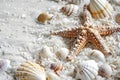 Starfish and seashells on white sand, summer holiday, background. Copy space. Travel and beach vacation Royalty Free Stock Photo