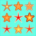 Starfish, a set of nine options