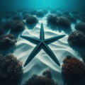 Starfish Shadow The five pointed shape of a starfish on the ocea Royalty Free Stock Photo
