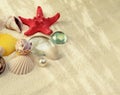 Starfish and shell on sand with copy space. Light and shadows nature background. Beige vintage color tone