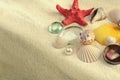 Starfish and shell on sand with copy space. Light and shadows nature horizontal background. Beige vintage color tone