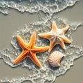 Starfish and shell on a sandy beach washed by ocean Royalty Free Stock Photo