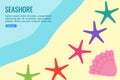 Starfish and Shell in Seashore Info Graphic