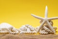 Starfish, shell, stones and rope on a plain yellow background and sand