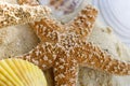 Starfish and shells on the beach Royalty Free Stock Photo