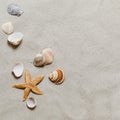 starfish shells beach. High quality photo Royalty Free Stock Photo