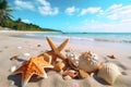 starfish and shells on the beach with the ocean and summer sky in the background, Generative AI