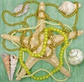 Starfish with shells and beads on a green background