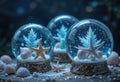 Starfish and Shells in Decorative Snow Globes for Coastal Holiday Decor Royalty Free Stock Photo