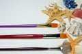 Starfish, shells and three brushes on white background - still life Royalty Free Stock Photo