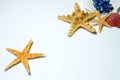 Starfish and  shells on white background - maritim still life Royalty Free Stock Photo