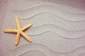 Starfish Royalty Free Stock Photo