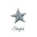 Starfish skech. Starfish hand drawing