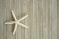 Starfish skeleton on boards