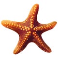 Starfish spiral in underwater beauty