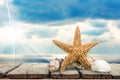 Starfish Royalty Free Stock Photo