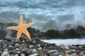 Starfish on stone seacoast Royalty Free Stock Photo